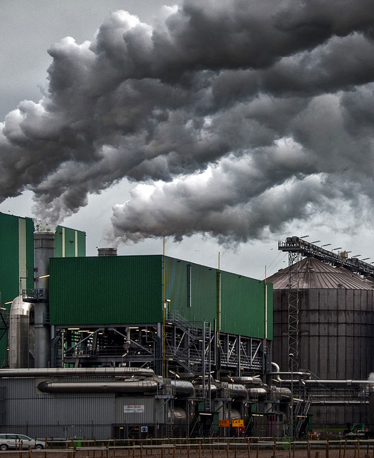 Just another WordPress site